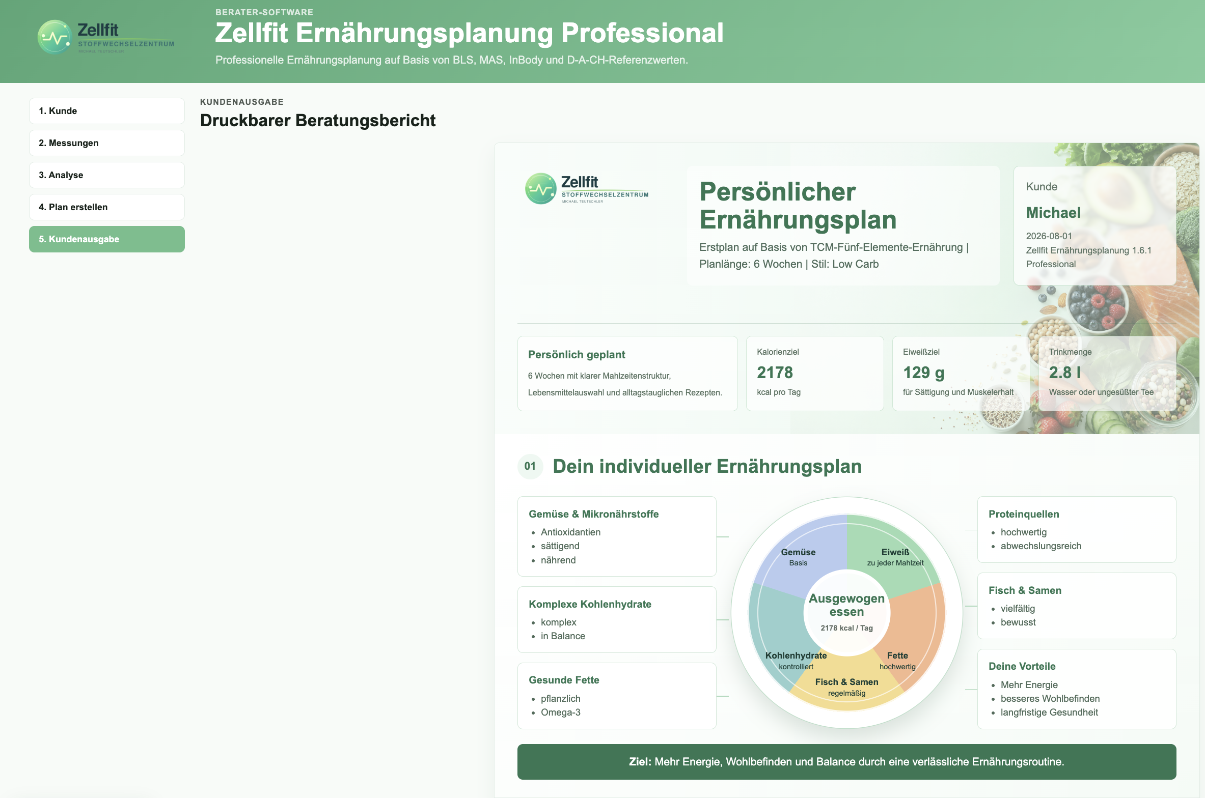Beispiel eines persönlichen Zellfit Ernährungsplans mit Auswertung und Mahlzeitenstruktur